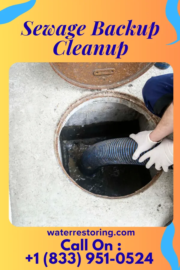Sewage Backup Cleanup in Porcupine, ND