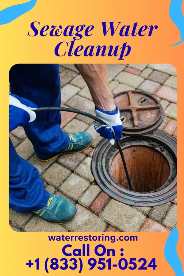 Sewage Water Cleanup in Porcupine, ND